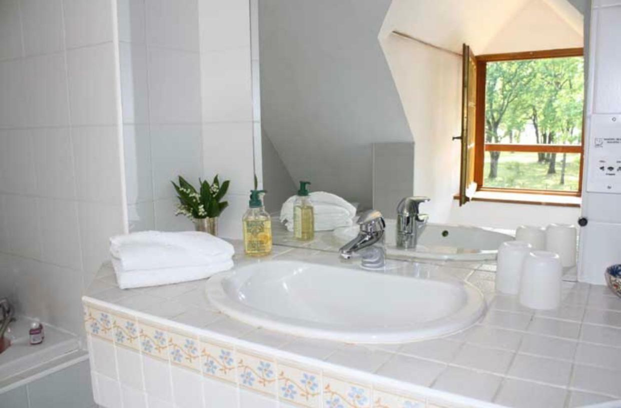 La Rabouillere Bed and Breakfast Le Controis-en-Sologne Eksteriør billede